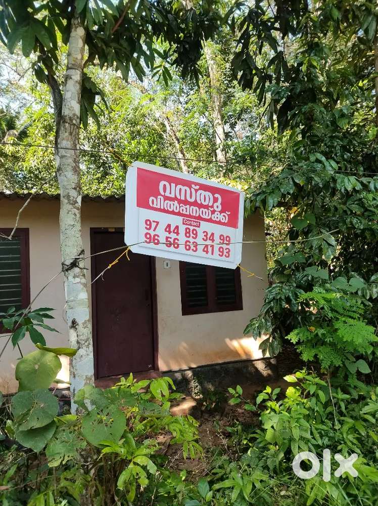 Small house with 15 cent plot