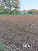 Juni sarat kinkhload umeta main road entry best location for farmhouse