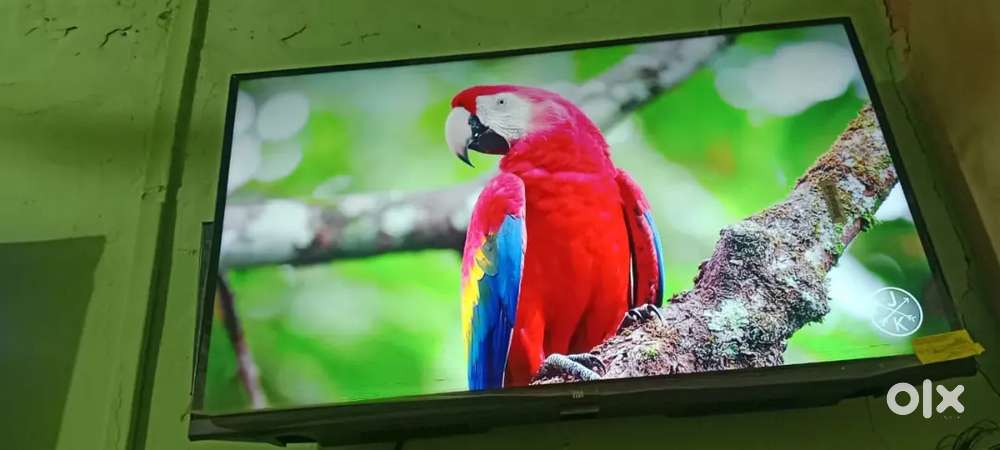 Mi Android LED TV 32 HD