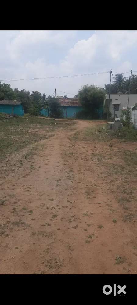 2.06 cents land @ 3.5 lakhs per cent