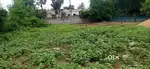 Sale for site
