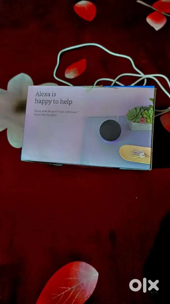 1. Alexa echo dot.        2. Wipro B22 bulb