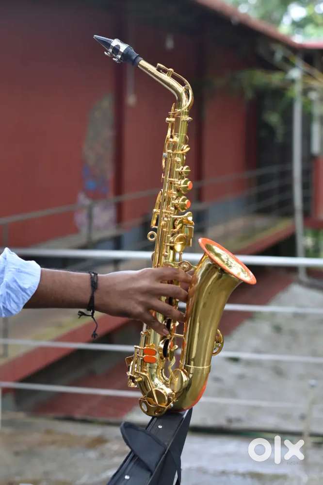 Musical instrument
