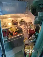 Samsung Fridge, Thomson TV airtel DTH and wifi for sale