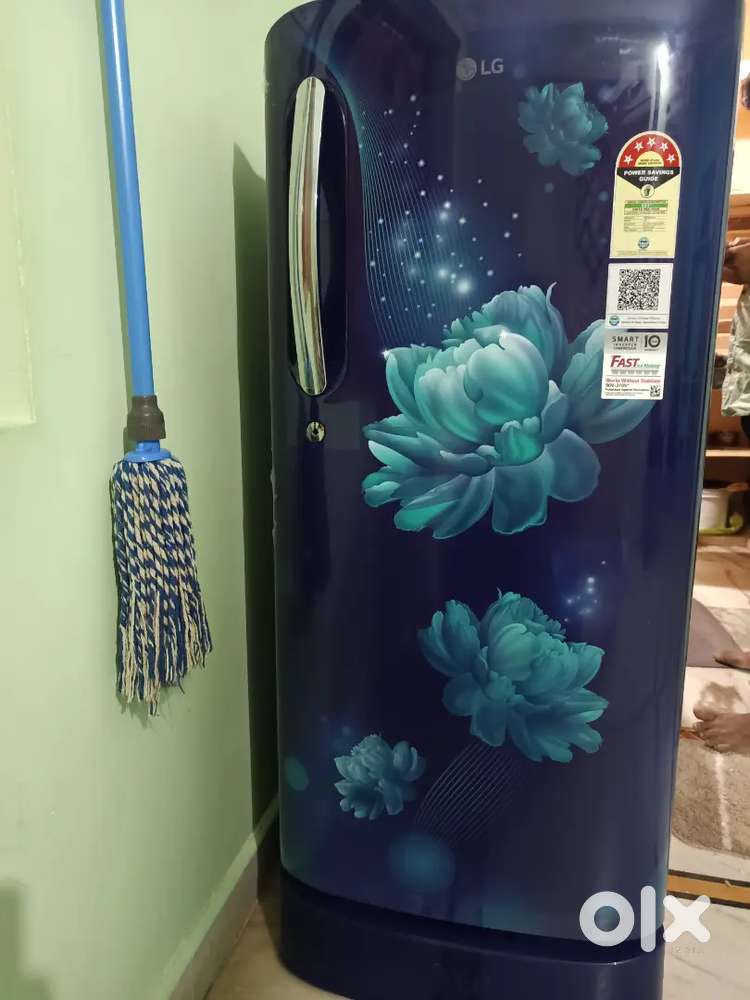 LG 185 liters 5star fridge