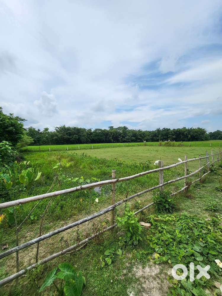 1 Bigha patta land for sale