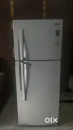 Lg double door