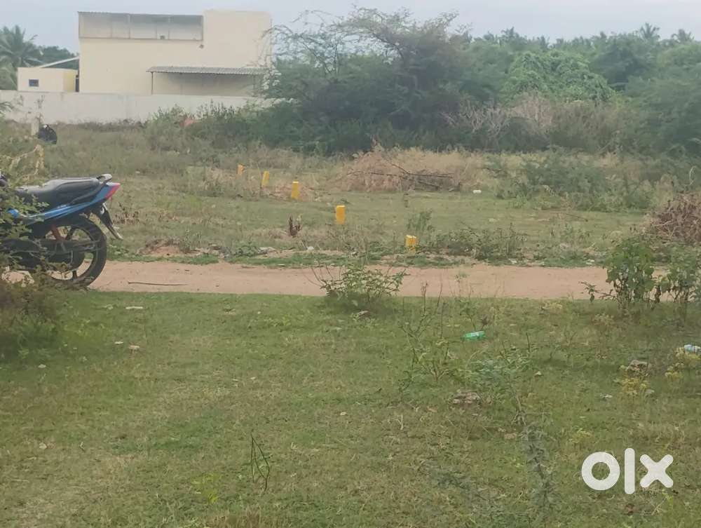 Near by Vijay Vidyashram CBSE school, Non approved plot