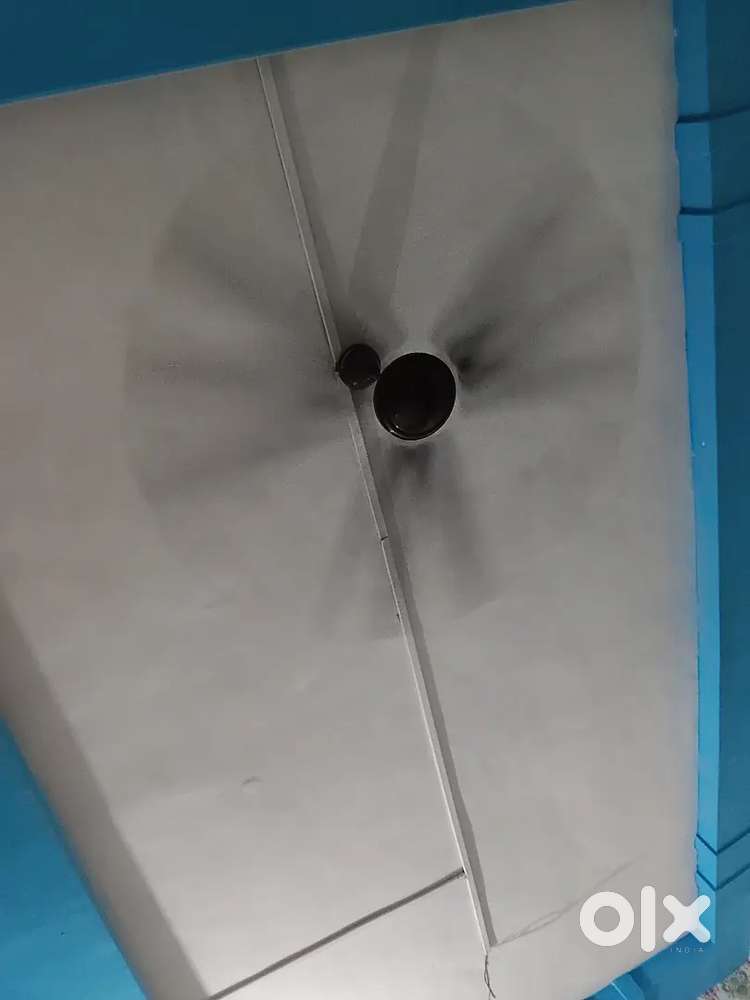 Fan cromtone