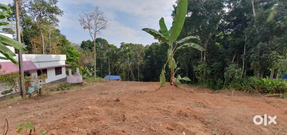 33 Cent plot for sale near kuttiyani Lp School (Vattappara)