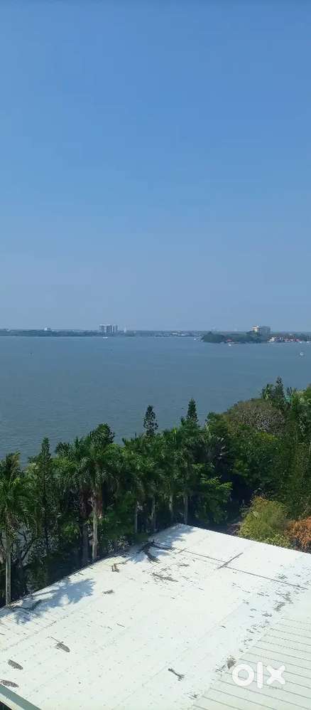 Room sharing available for rent ( girls only)