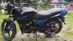 Glamour seal engine BS4