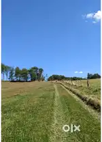 200 Bigha Land Chakrata Highway Dehradun(Uttarakhand)