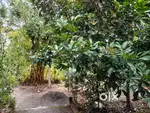 വൈക്കം - കുമരകം റോഡിൽ നിന്നും 1.5  കി മീററർ