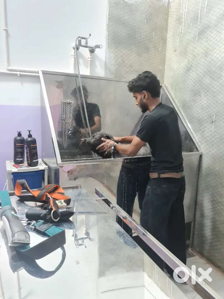 Groomer for veterinary hospital