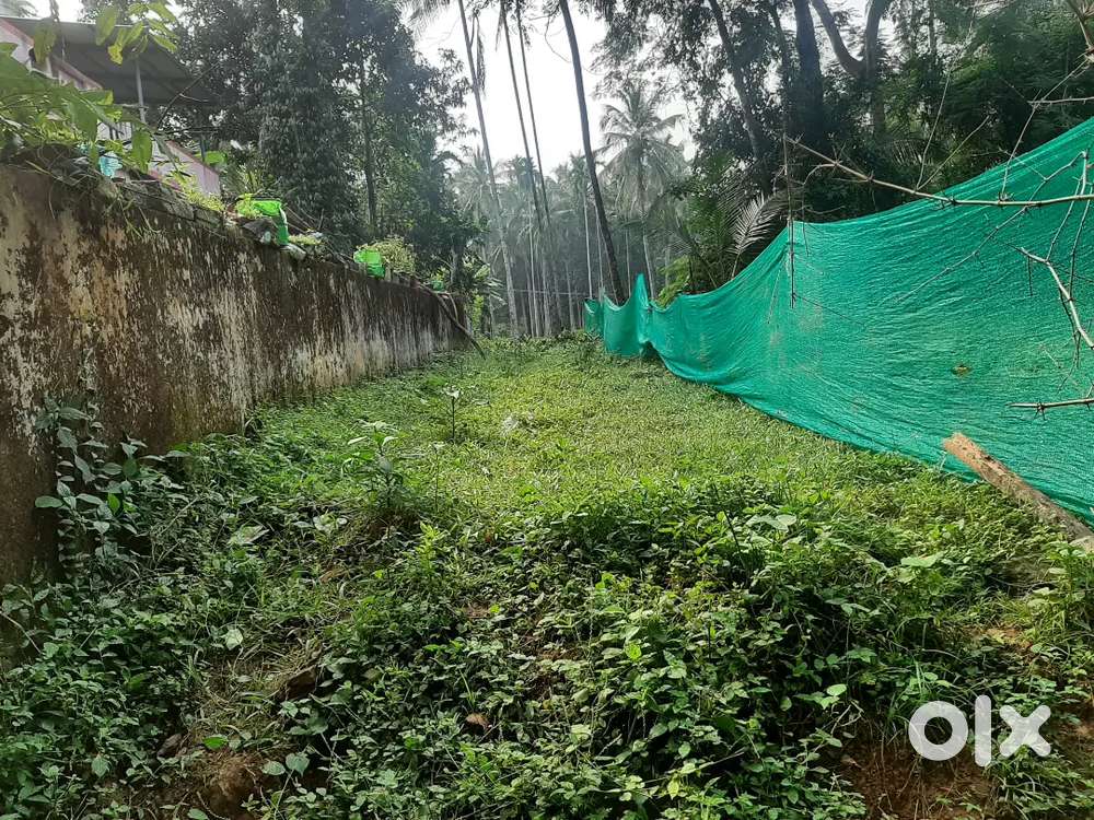 Urgent plot for sale