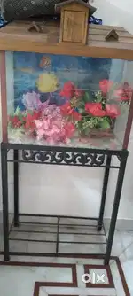Fish acvirium good condition