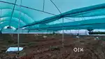 Green House For Sale