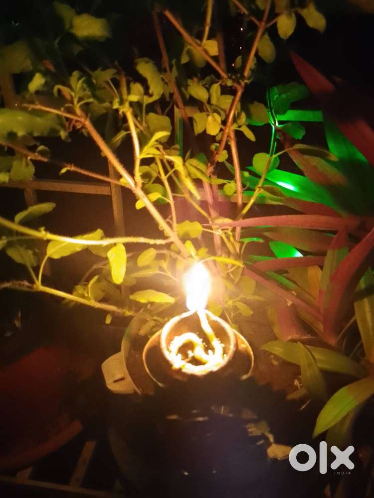 4Rooms / (2 Rooms Set)(Terrace) দ্বিতীয় মহলা Single