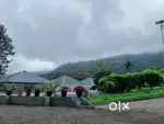 Resort for sale at Munnar