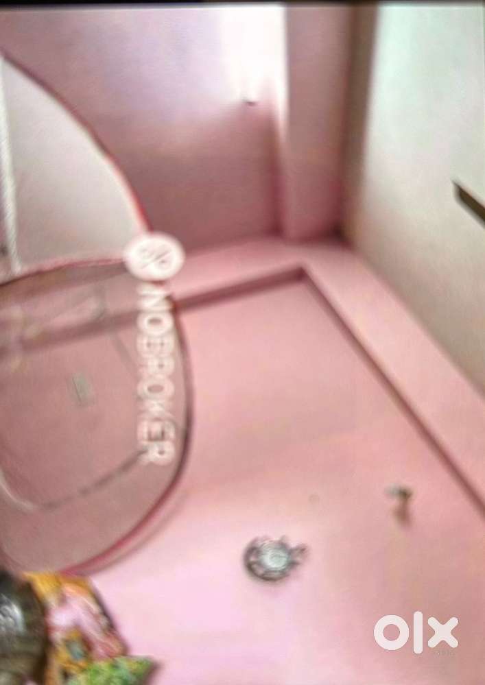 Nesr IG statue, Alwal