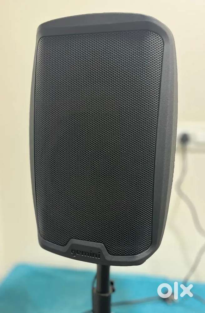 Professional 1000W Active 10 Loudspeaker
