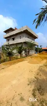 Red sandal/Teak trees 241 nos and Farmhouse 3400SF near Panapakam NH 4