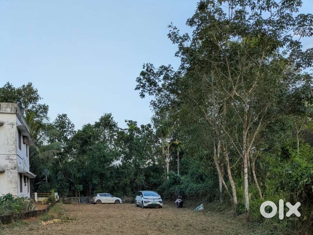 36.5 cents Flat plot for sale, Nariyapuram, Pathanamthitta