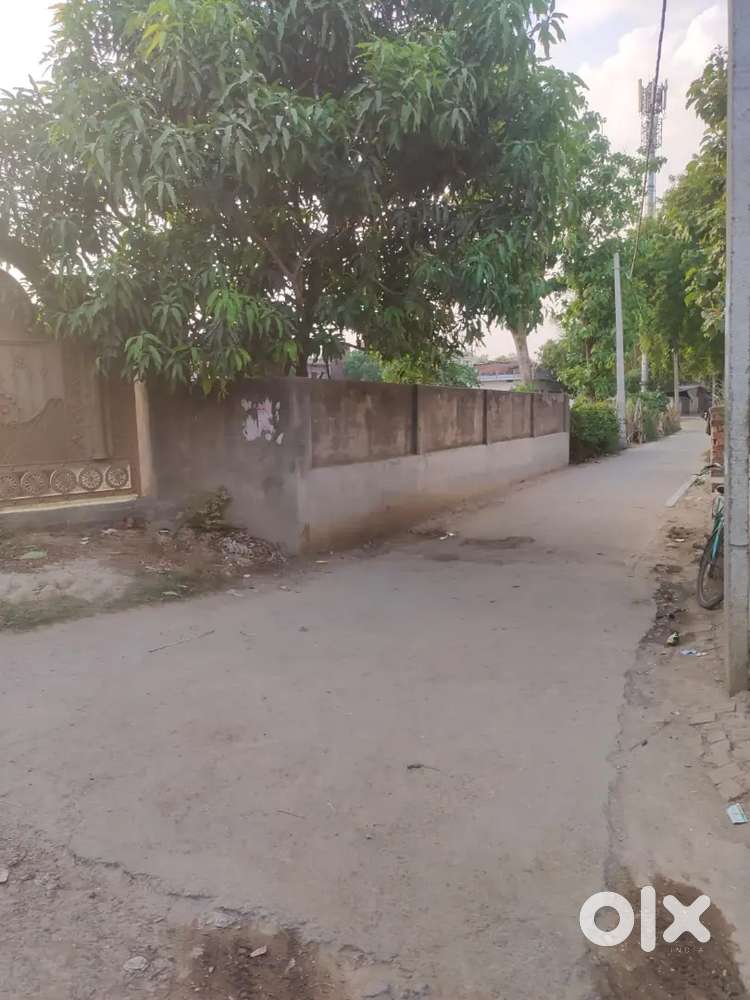 Good plot in developing area