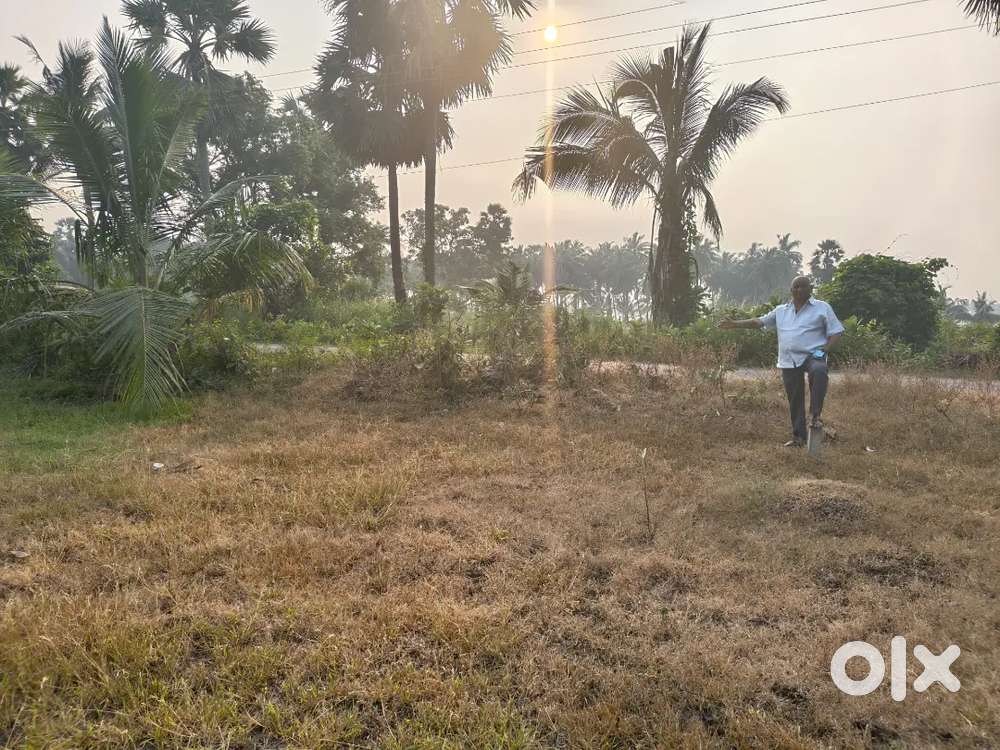 MALLAVARAM YANAM ROAD SIDE LAND