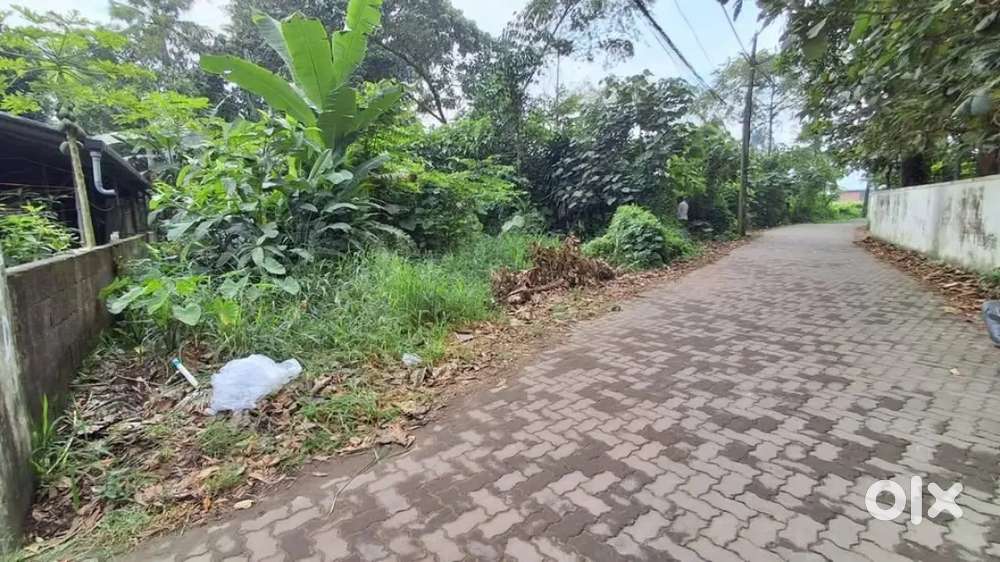 4 CENT HOUSE PLOT SALE