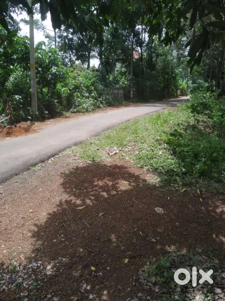 40 cent land for sale in kalluvathukal kollam near Prakash auditorium