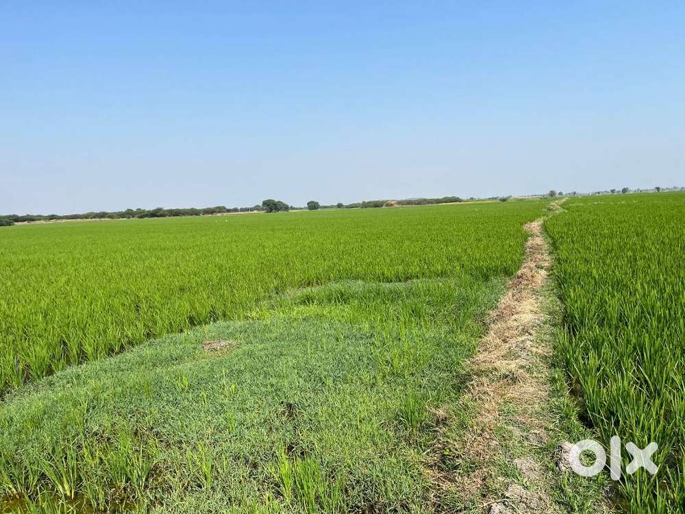 300 acers land fot sale