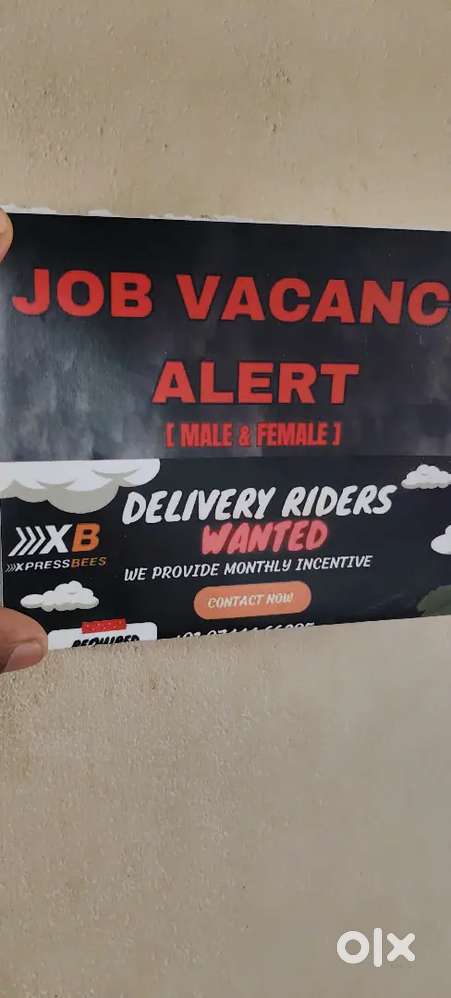 Want delivery boys in xpressbees courier hub, pachira