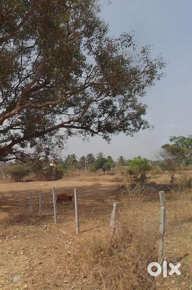 23 Gunta agriculture land sale