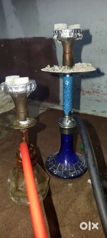 1 Russia 1 chico combo offer 1 current chula