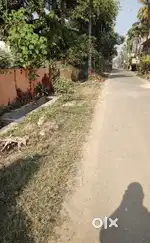 4.6 katha land with 579 sqft tin shaded house sell needed urgently