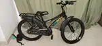 Magma Octagon 20 Bicycle