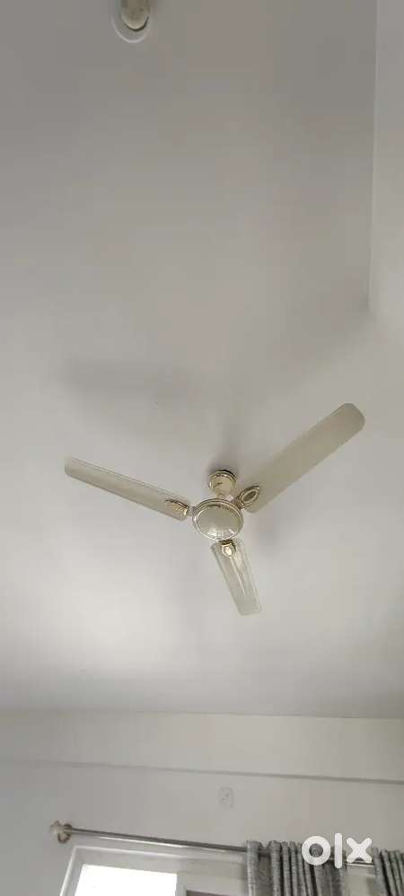 Celing fan for sale