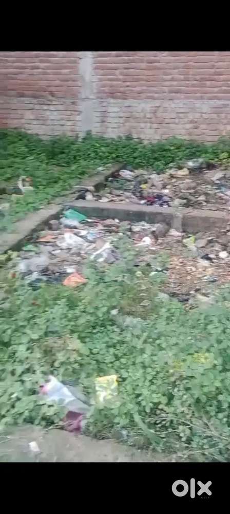 Don't have any problem on this land