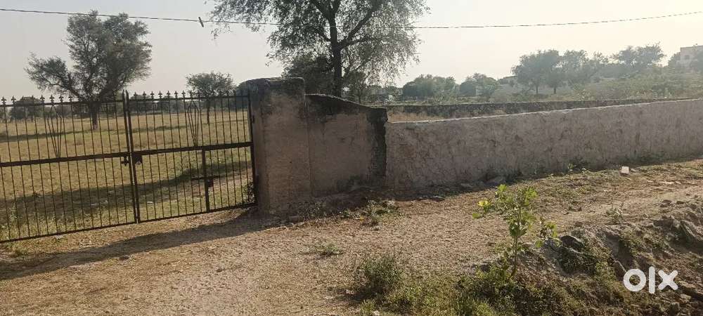 Approx 30 bigha agricultural land for sale at main ajmer road