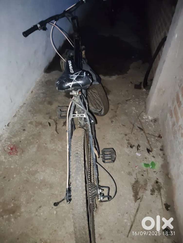 GANG BYCYCLE
