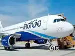 Cabin Crew Ground Staff Jobs Vacancy your Nearest Airport Apply Now