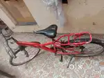 Hawk brand cycle