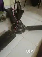 Ceiling fan