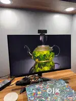 LG UltraGear Gaming Monitor