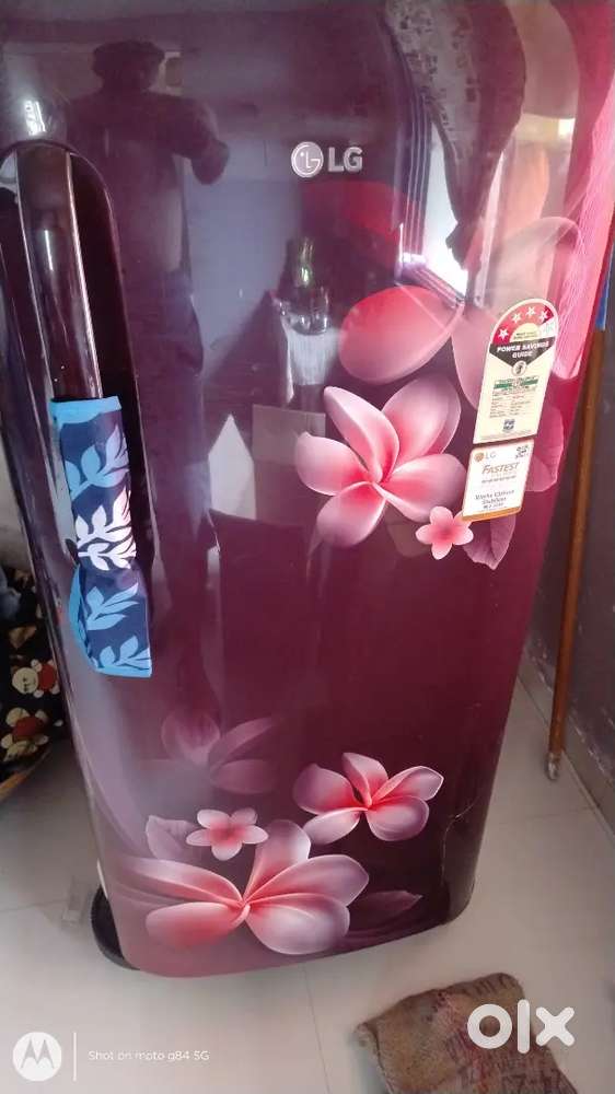 LG brand fridge