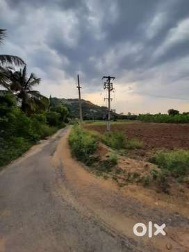 Agriculture land for sale
