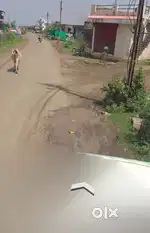 Near Water Tank Dabha