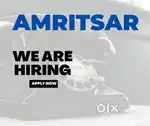 Amritsar home based Career